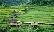 Menikmati Keindahan Terasering Cisalada, Wisata Viral di Bogor