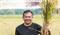 Purwakarta Surplus Puluhan Ribu Ton Beras di Panen Raya Awal 2024, Bukti Konsisten jadi Penghasil Beras Utama di Jawa Barat