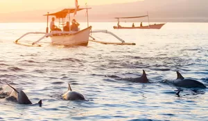 Disini Bisa Nonton Atraksi Lumba-lumba yang Lucu! Inilah 3 Rekomendasi Wisata di Buleleng