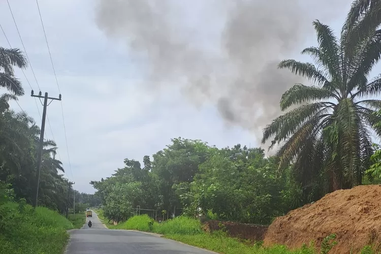 bau busuk dan polusi udara yang diduga dari pabrik PT TIS.