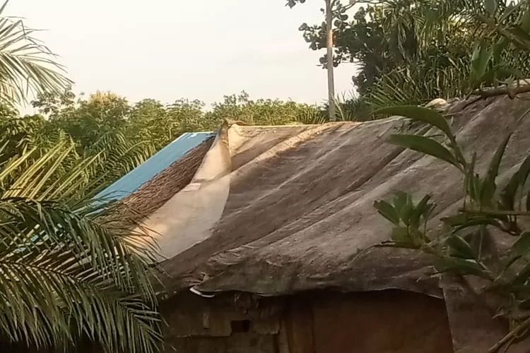 Warung kopi dijadikan judi geem btembak ikan di dusun bukit kuda desa Stabat lama kec Wampu. (Realitasonline.id - MA)