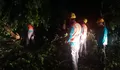 Depok Dihantam Cuaca Ekstrim, Satu Tewas, Tujuh Pohon Tumbang, 12 Orang Dievakuasi