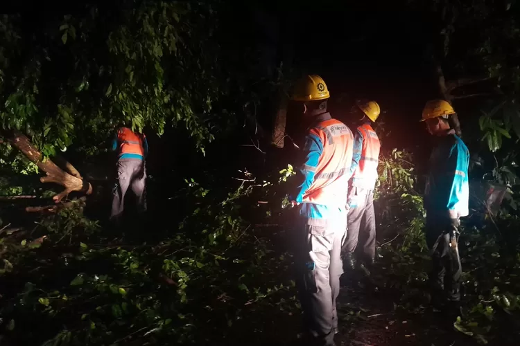 PERISTIWA : Evakuasi pohon tumbang yang terjadi di Jalan Raya Tanah Baru, Kelurahan/Kecamatan Beji, Kota Depok, Rabu (17/4). (ALDY RAMA/RADAR DEPOK )