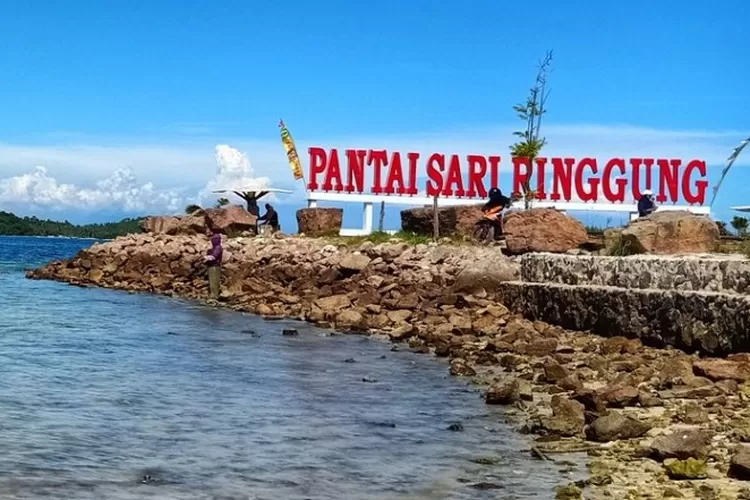 Menikmati Pantai Sari Ringgung di Lampung, Spot Renang Paling Nyaman Dihiasi Rimbunnya Pepohonan Kelapa (pinterest)