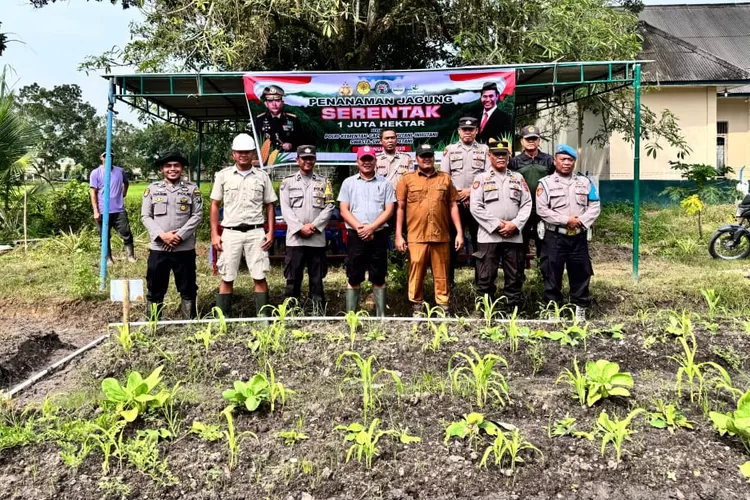 Kapolsek Bilah Hilir juga mengingatkan pentingnya peran semua pihak dalam menjaga dan merawat tanaman jagung yang telah ditanam.