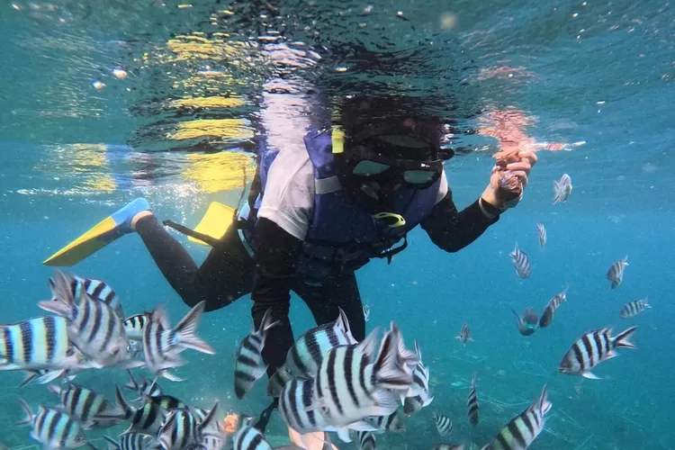 3 rekomendasi wisata di Banyuwangi (Sumber - Bangsring Underwater : Instagram @banyuwangijuaratrip)