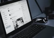 Imaji's Buka Loker Freelance Editor, Peluang Karir Kreatif dari Rumah!