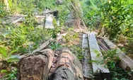 Geram Karena Lakukan Pengrusakan, Pemilik Lahan Polisikan Menantu Penjaga Kebun