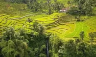 Tidak Terlalu Jauh dari Jakarta, Desa Wisata di Bogor Ini Menghadirkan Nuansa Seperti Berada di Ubud Bali