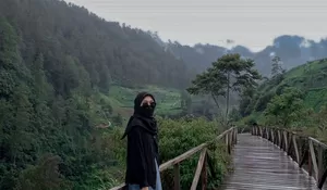 Bakal Disuguhi Panorama Gunung Lawu yang Cantik, Inilah 3 Rekomendasi Wisata di Karanganyar