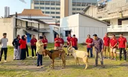Wujud Kepedulian Sosial, InJourney Hospitality Distribusikan Hewan Kurban di Berbagai Daerah
