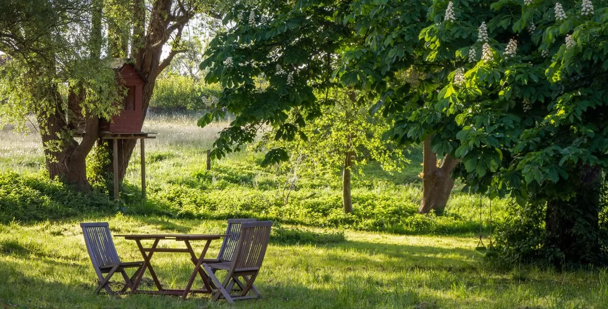 Cari tempat santai sore di Malang? Ini 5 taman dan hutan kota terbaik buat menikmati senja. (Foto: Unsplash.com/@Robert Katzki)
