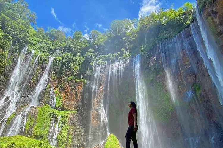 5 Tempat Wisata Di Lumajang Yang Menjadi Tempat Nongkrong Para Turis ...