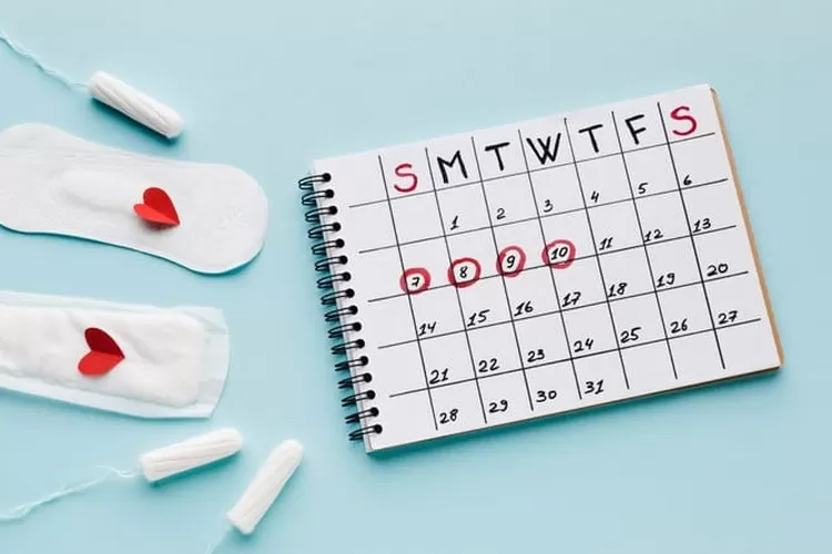 Ilustrasi haid bagi wanita (Freepik)