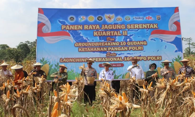 Pemprov Sultra Apresiasi Panen Raya Jagung Polda Sultra Dukung Ketahanan Pangan Nasional
