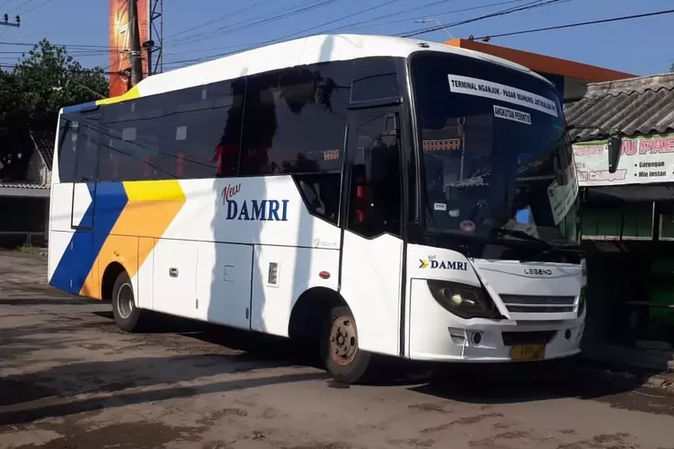 Liburan Hemat dengan Bus DAMRI di Jalur Lintas Selatan Tulungagung-Pacitan