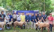 Tebar Keberkahan Idul Adha, PT Dahana Serahkan Hewan Kurban di Subang