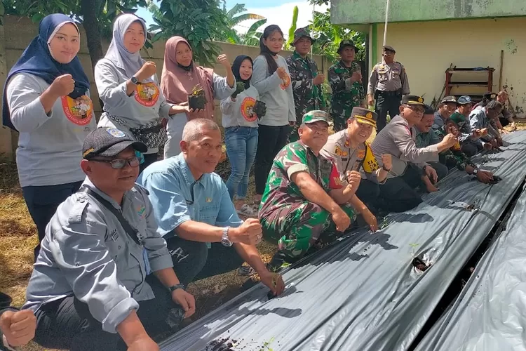 Koramil 06 Cimanggis memulai salah satu programnya, yaitu Urban Farming untuk mengubah lahan tidur yang berada di kawasan Rumah Susun Sederhana Sewa (Rusunawa) Kota Depok (ANDIKA EKA/RADAR DEPOK)