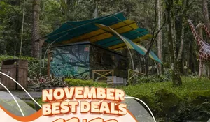 Promo 11.11, Nginep di Safari Resort Dapat Harga Khusus Masuk Taman Safari Bogor 