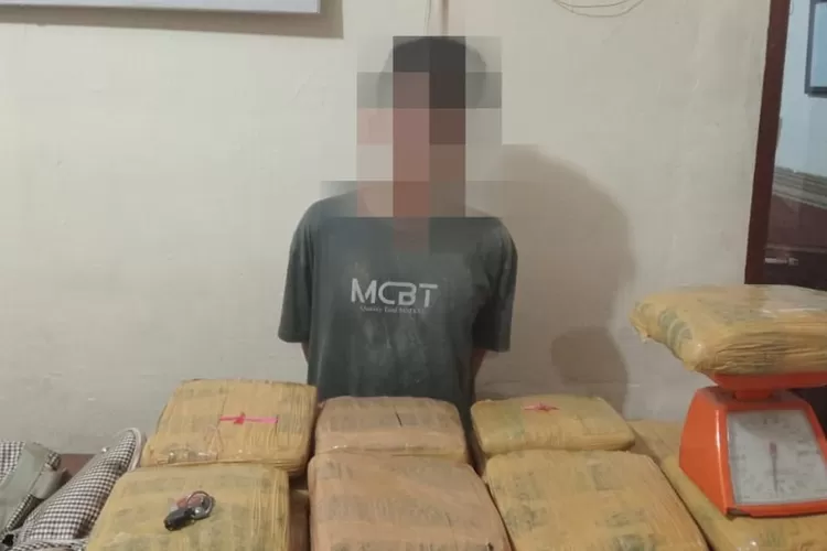 SD, yang diduga sebagai kurir ganja saat diamankan personil Sat Resnarkoba Polres Padangsidimpuan, Jumat (12/1/2024).(Foto: Realitasonline.id/ RI)