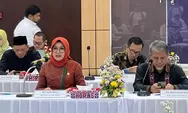 Gawat! Pemprov Sumut dan Pemko Medan Kompak Terindikasi Rugikan Keuangan Negara, BAP DPD RI Buka Suara dan Beri Rekomendasi ini ke BPK RI