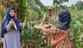 20 Kilogram Tanaman Produktif Dipanen di Srengseng Sawah