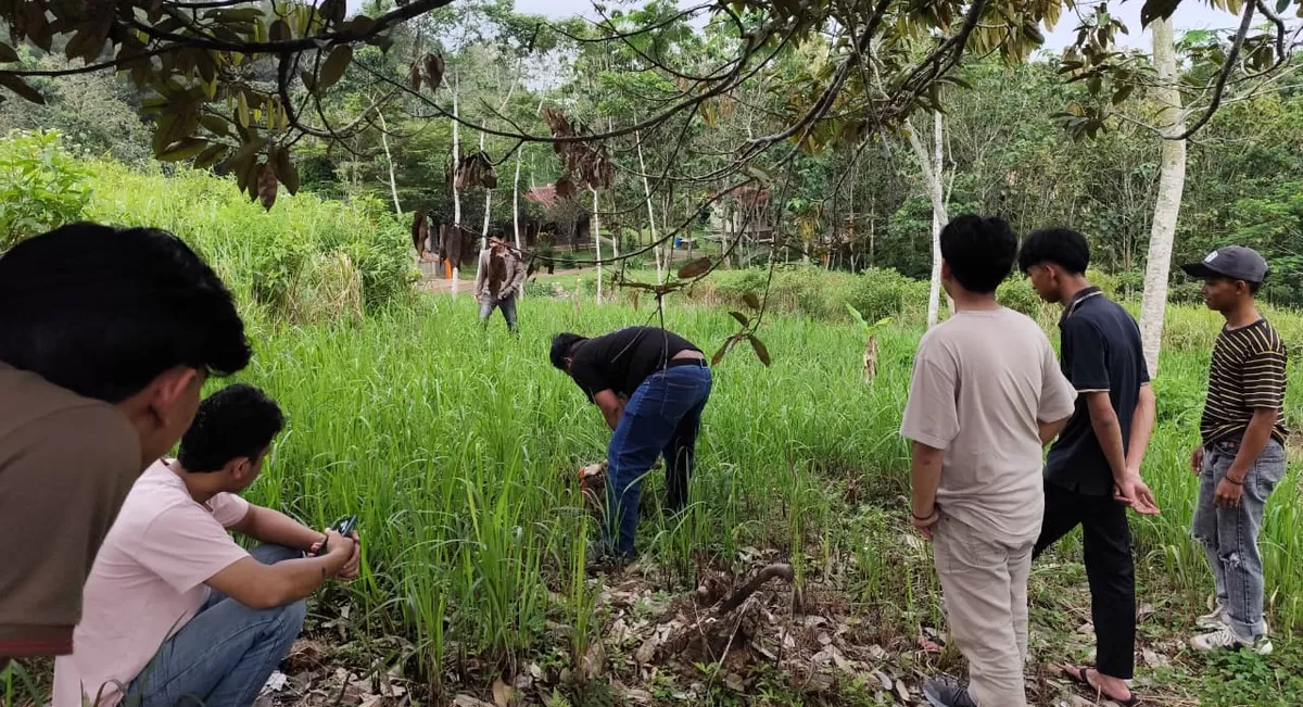 KOPRI PMII STISIP Guna Nusantara dan Forum Cianjur Asri menanam pohon. (FOTO: Ist)