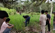 Refleksi Hari Bumi, KOPRI PMII STISIP Guna Nusantara dan Forum Cianjur Asri Tanam Pohon