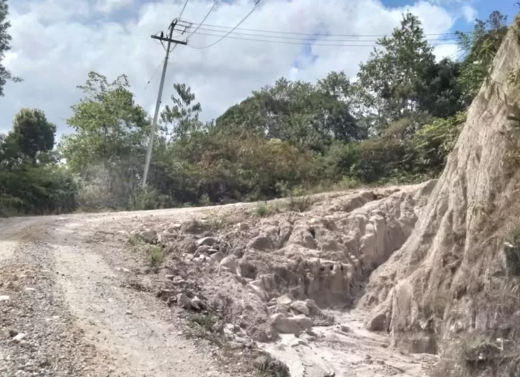 Jalan dari Dusun Parratusan menuju Dusun Sihopong Desa Manalu Dolok yang sudah rudak akibat maraknya penebangan kayu sehingga sulit dilintasi warga Desa Hutatua. (Realitasonline.id - AS)