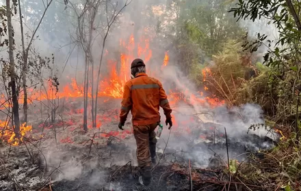 Per Hari Ini, 1.350 Hotspot Karhutla Terdeteksi di Indonesia, Kalteng Mendominasi