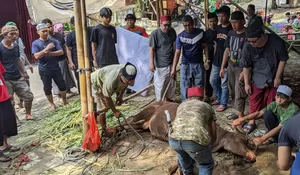 Yayasan Ahmad Al Khairy Ar Rodhi Sembelih Tujuh Belas Hewan Kurban, Sebar Daging ke Depok hingga Jagakarta