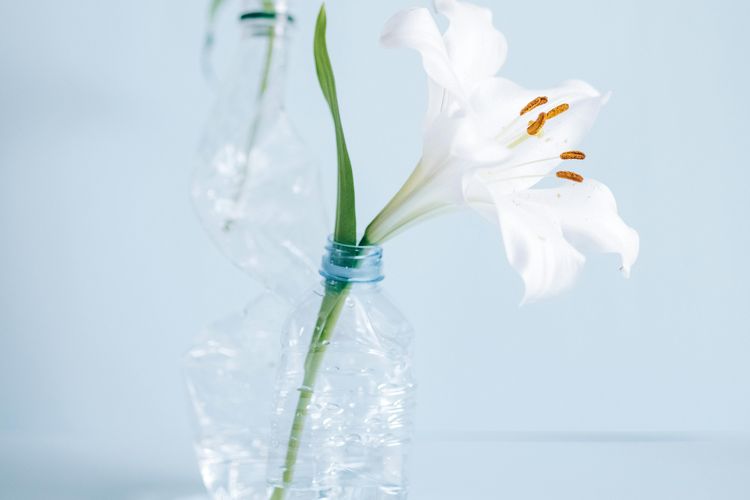 Tips dan Ide Membuat Kerajinan dari Limbah Sampah yang Mudah, Murah, dan Ramah Lingkungan