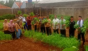 P2L Kampung Caraka Sukatani Depok Panen Perdana, Ini Saja Diperoleh 