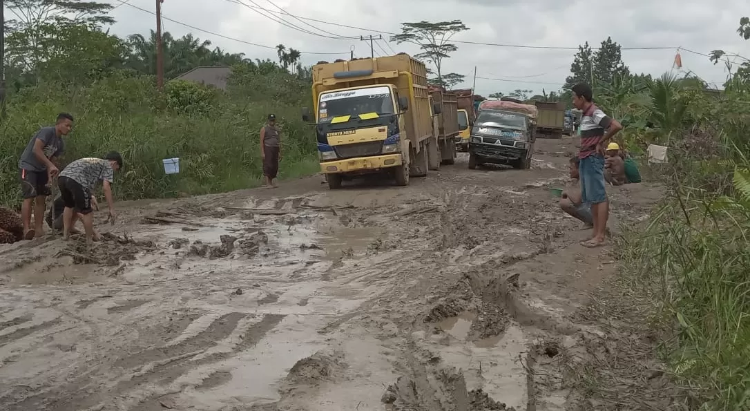 Jalan rusak di Desa Teluk Serdang Tanjung Jabung Timur hingga kini belum juga diperbaiki (Metrojambi.com)