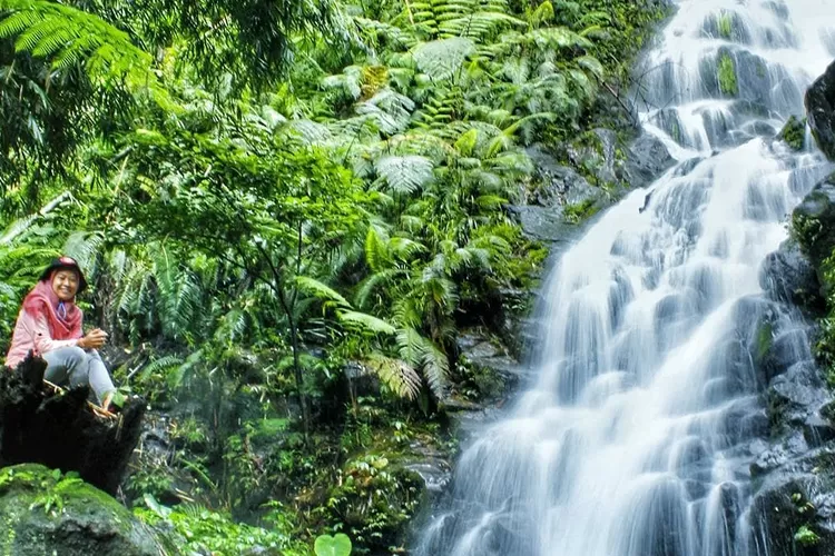 3 rekomendasi wisata di Wonosalam Jombang (Sumber - Air Terjun Sanggar : Instagram @wonderful_wonosalam)