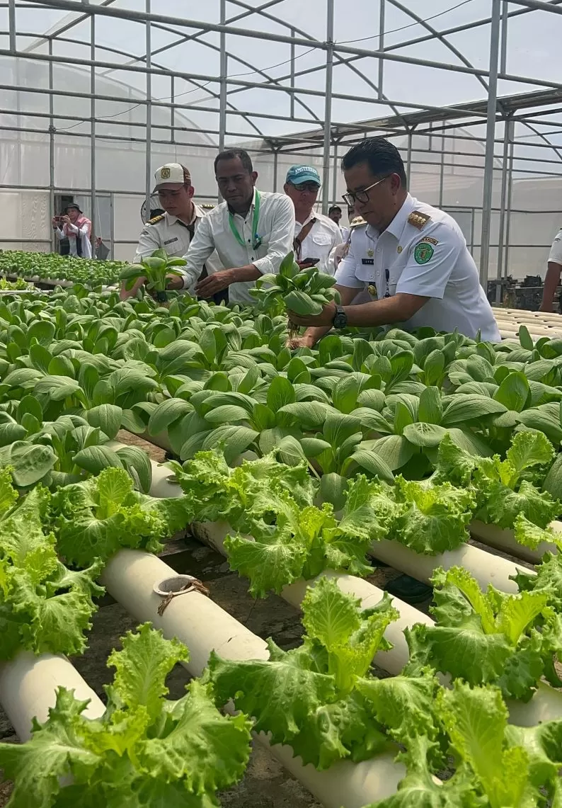 TANAM. Akmal Malik meminta agar siswa bisa aktif menanam sayur dan buah sebagai pemenuhan komoditas pasar.