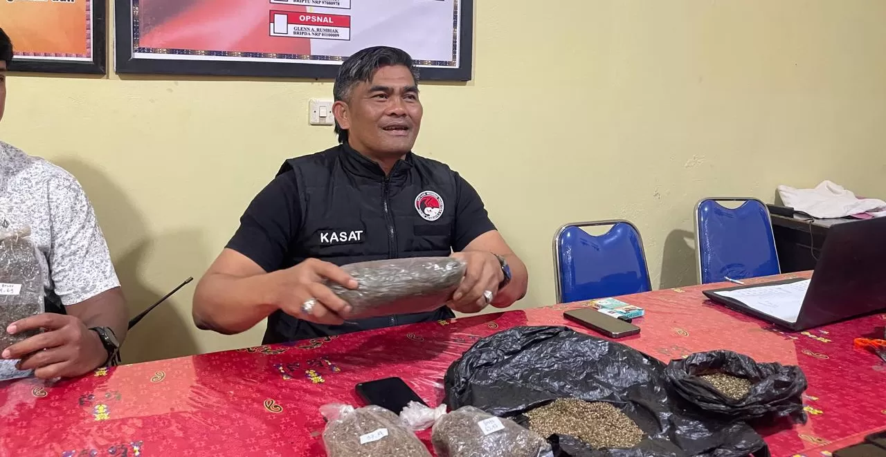 Kasat Narkoba Iptu J.B Saragih saat merilis 552,06 Ganja kering dan bijinya dalam 14 paket kemasan di Mapolres Jayawijaya, Sabtu 27 September 2025. (CENDERAWASIH POS/DENI TONJAU)