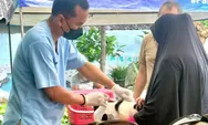 32 Ekor Kucing Divaksinasi Rabies di Manggarai