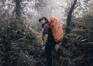 Begini Kondisi Terkini Fiersa Besari yang Dievakuasi dari Puncak Carstensz