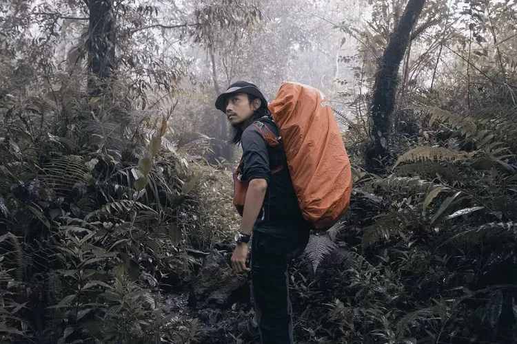Kondisi Terakhir Musisi Fiersa Besari yang Dievakuasi dari Puncak Carstensz, Tim SAR Timika Beri Penjelasannya  (instagram.com/fiersabesari)