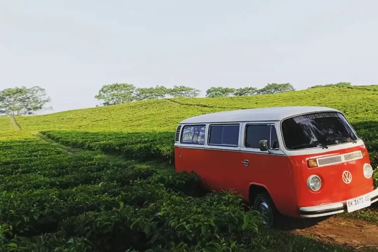 Kebun Teh Sidamanik, Simalungun (Tangkapan Layar dari Akun Instagram @ pakposkafe)