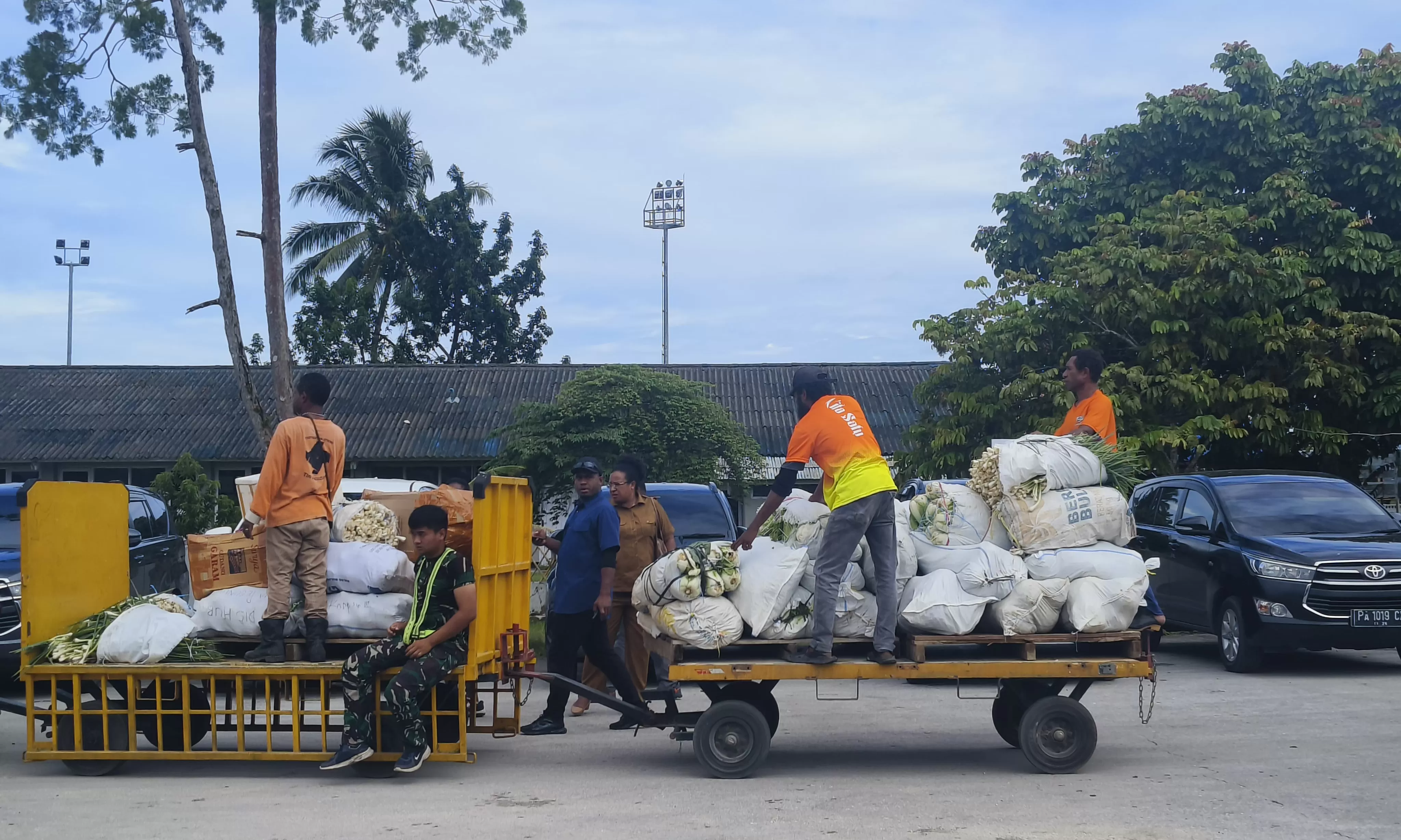 Sayur mayur yang didatangkan dari Pemprov Papua Pegunungan saat dibongkar di Baseops Lanud Manuhua Biak. (CENDERAWASIH POS/ISMAIL)