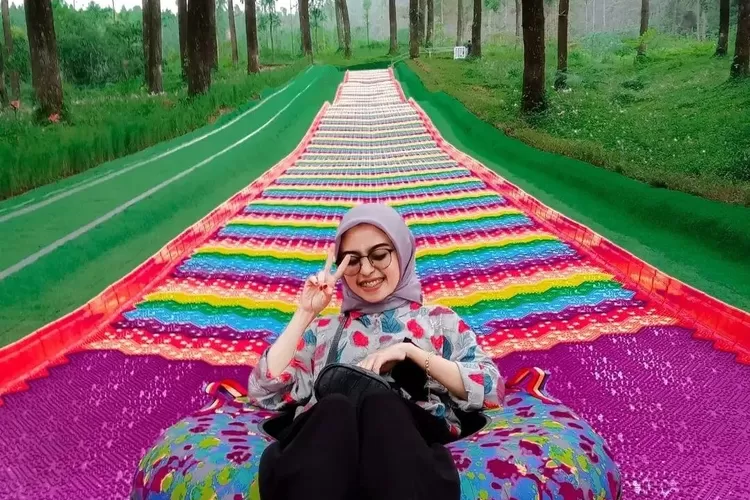 3 rekomendasi wisata di Purwokerto (Sumber - Hutan Pinus Limpakuwus : Instagram @purwokertohits)