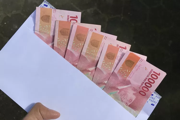 Ilustrasi KPM penerima BLT Mitigasi Risiko Pangan bisa cek saldo lewat laman Cek Bansos. (pixabay)