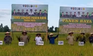 Ketua DPRK Abi Roni Apresiasi Petani di Abdya, Panen Padi Capai 8,5 Ton per Hektare