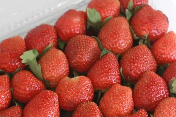 Selain Untuk Campuran Bahan Makanan, Ini Manfaat Buah Strawberry Bagi ...