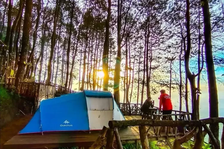 Talaga Surian Camp Park, tempat camping di kuningan yang berada di tengah hutan pinus (Tangkapan Layar/Instagram Talaga Surian official)