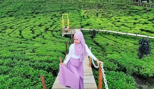 Gak Bakal Rugi Habiskan Liburan Disini! Ini Dia 3 Rekomendasi Wisata di Jember