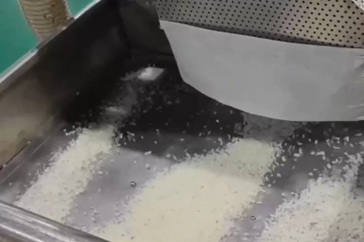 Adit Setiawan, pengusaha muda yang berkomitmen pada inovasi pangan, meluncurkan pabrik beras porang yang berlokasi di Sleman, Yogyakarta. (ISTIMEWA )