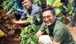 Penting untuk Ketahanan Pangan, Ketua DPRD Kota Depok Ade Supriyatna Dukung Gerakan Menanam Cabai